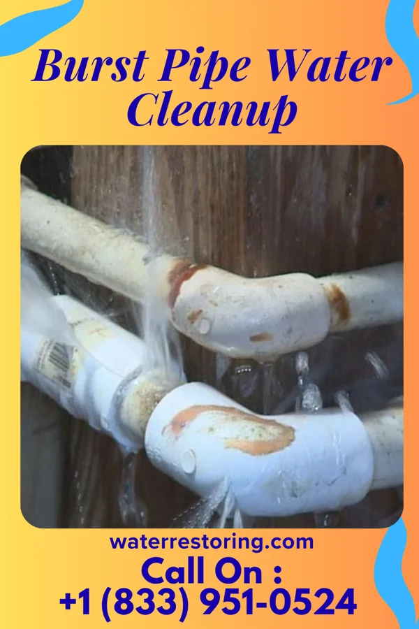 Burst Pipe Water Cleanup in West Grove, PA
