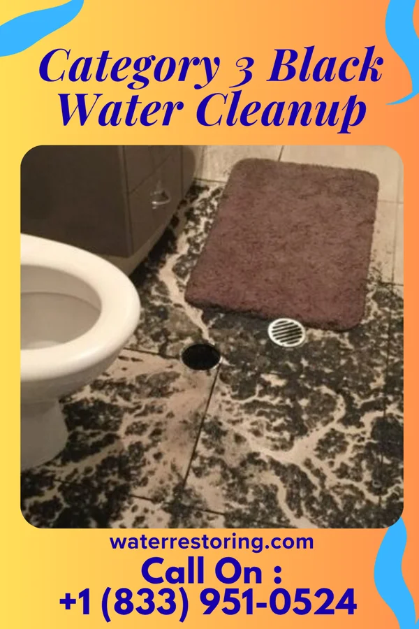 Category 3 Black Water Cleanup in West Grove, PA