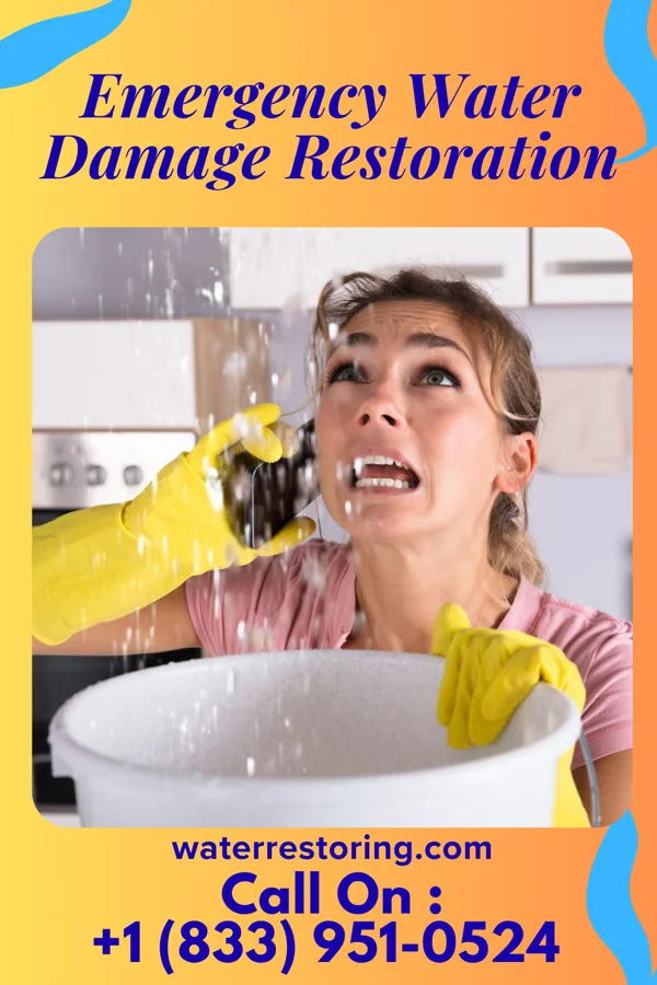 Emergency Water Damage Restoration in West Grove, PA